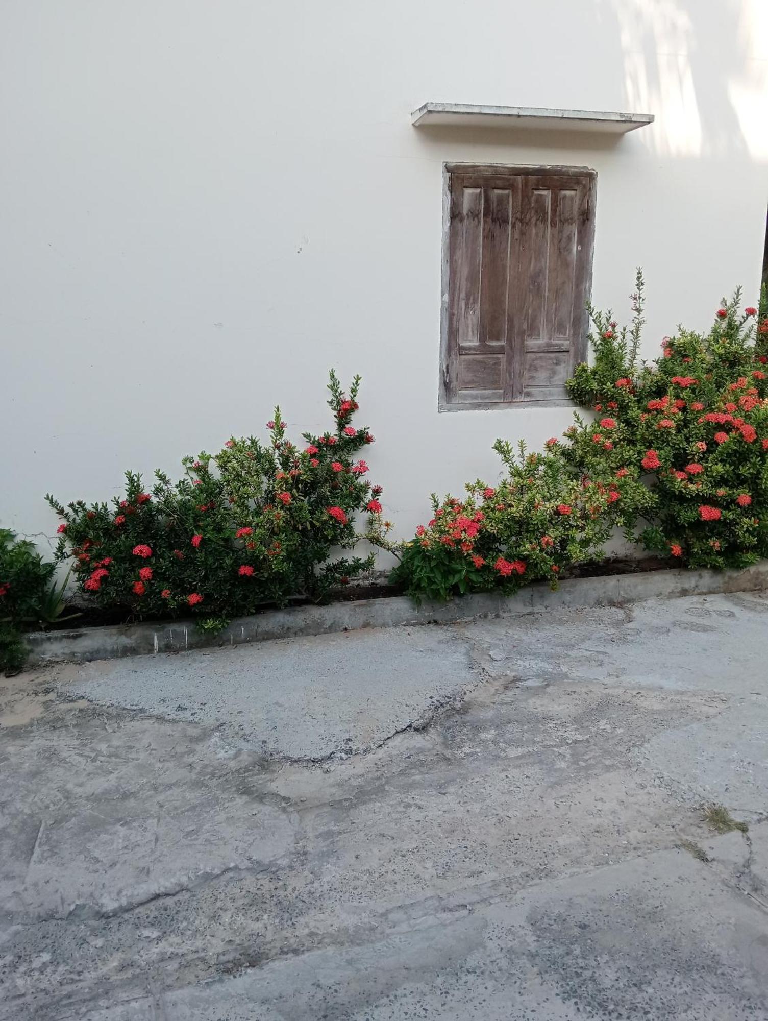Homestay Nhat Thi มุยเน่ ภายนอก รูปภาพ