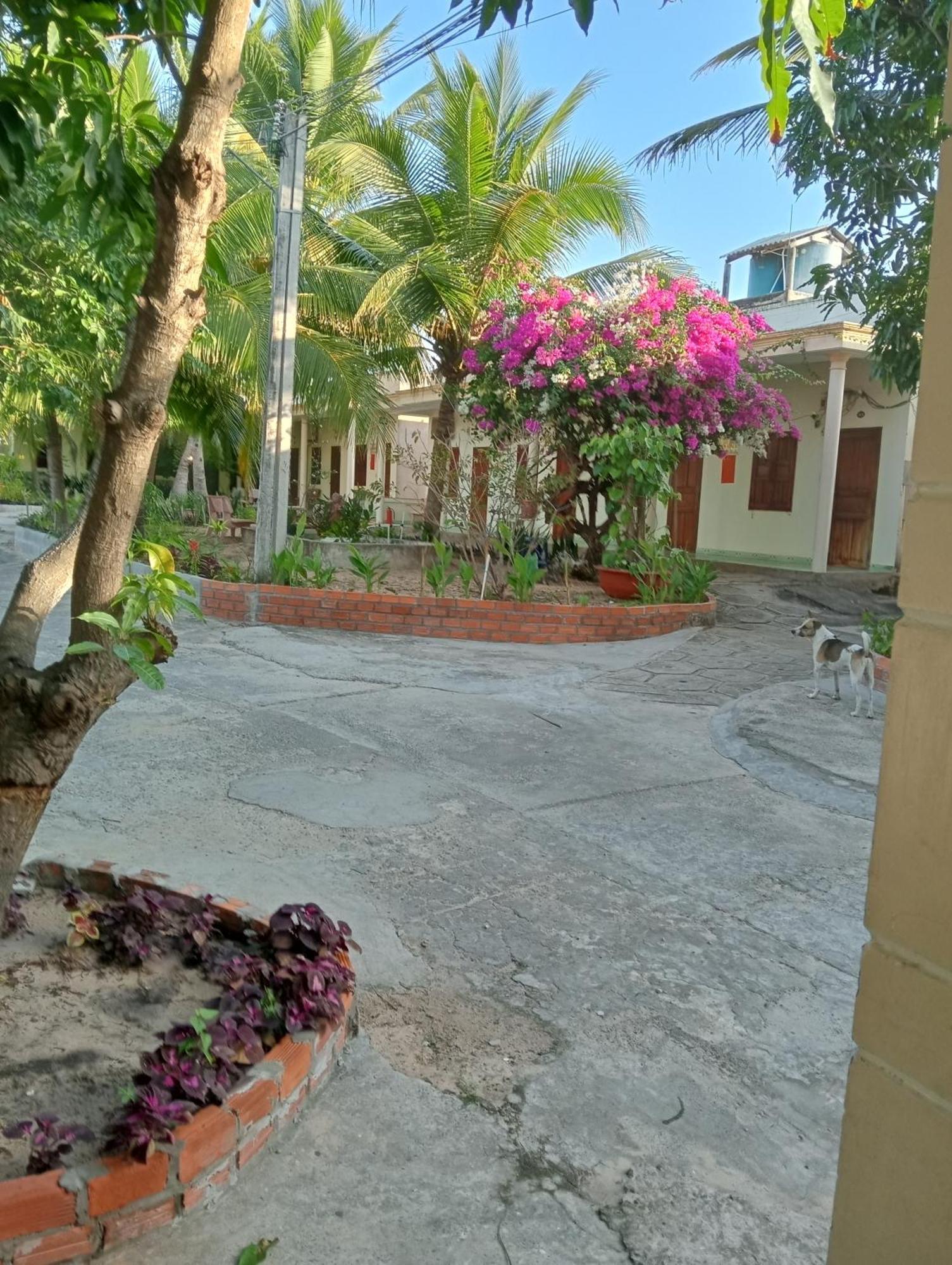Homestay Nhat Thi มุยเน่ ภายนอก รูปภาพ